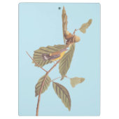 Audubon's Swainson's Warbler op Oak Branch Klembord (Achterkant)