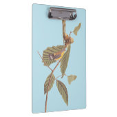 Audubon's Swainson's Warbler op Oak Branch Klembord (Rechts)