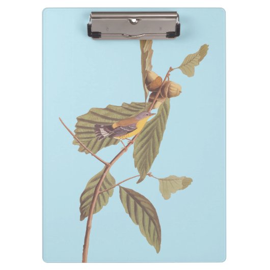 Audubon's Swainson's Warbler op Oak Branch Klembord (Voorkant)