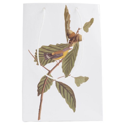 Audubon's Swainson's Warbler op Oak Branch Medium Cadeauzakje (Voorkant)