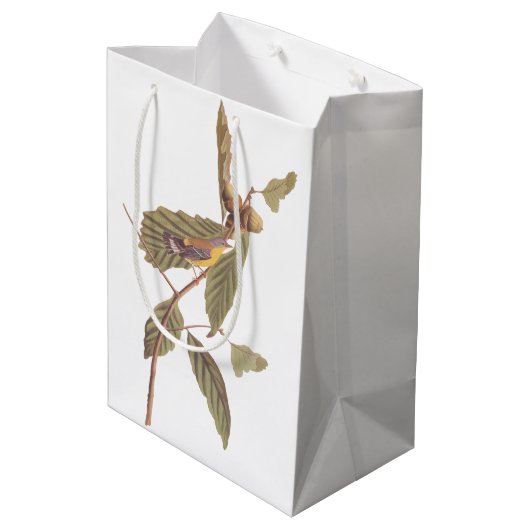 Audubon's Swainson's Warbler op Oak Branch Medium Cadeauzakje (Achterkant Gekanteld)