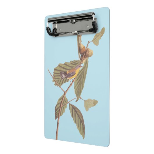 Audubon's Swainson's Warbler op Oak Branch Mini Klembord (Angled2)