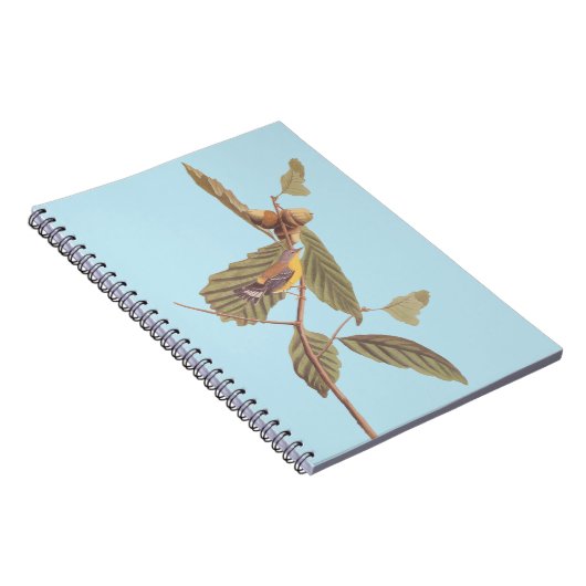 Audubon's Swainson's Warbler op Oak Branch Notitieboek (Rechterzijde)