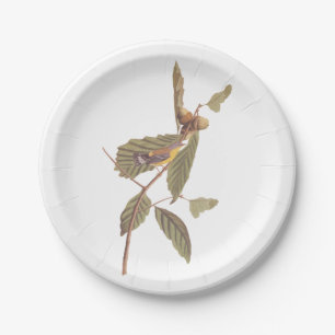 Audubon's Swainson's Warbler op Oak Branch Papieren Bordje