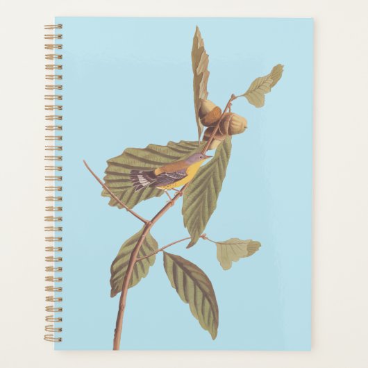 Audubon's Swainson's Warbler op Oak Branch Planner (Voorkant)