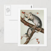 Audubon's tegenposten briefkaart (Voorkant / Achterkant)