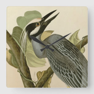 Audubon's Vintage Yellow crowned night heron paint Vierkante Klok