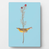 Audubon's warmere vogel op de Rode Vloer Fotoplaat (voorkant)