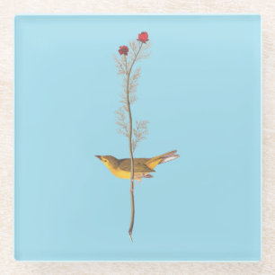 Audubon's warmere vogel op de Rode Vloer Glazen Onderzetter