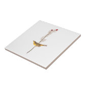 Audubon's warmere vogel op de Rode Vloer Tegeltje (Zijkant)