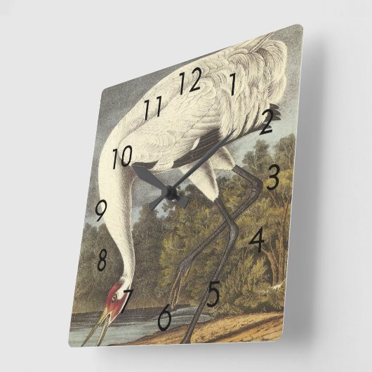 Audubon's Whooping Crane Vierkante Klok (Hoek)