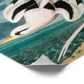 Audubon's witte tropicvogel poster (Hoek)