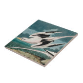 Audubon's witte tropicvogel tegeltje (Zijkant)