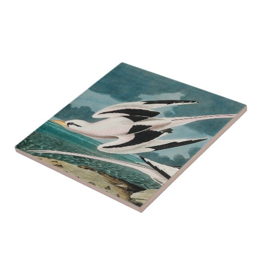 Audubon's witte tropicvogel tegeltje (Zijkant)