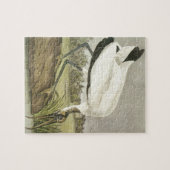 Audubons' Wood Stork Legpuzzel (Horizontaal)