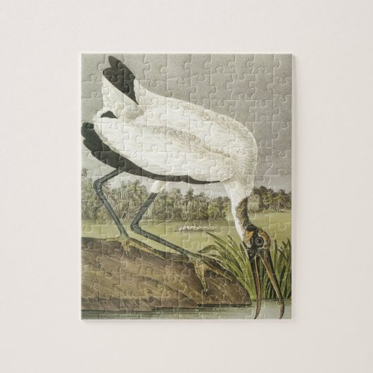 Audubons' Wood Stork Legpuzzel (Verticaal)