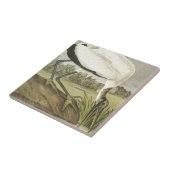 Audubons' Wood Stork Tegeltje (Zijkant)