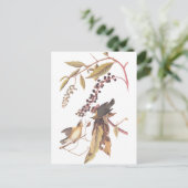 Audubon's Worm Eating Warbler Briefkaart (Staand voorkant)