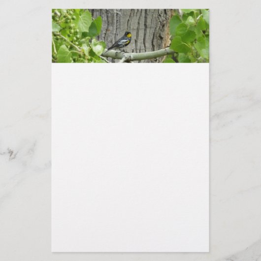 Audubon's Zanger Natuurfotografie Briefpapier (Voorkant)
