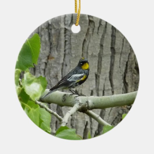 Audubon's Zanger Natuurfotografie Keramisch Ornament (Voorkant)