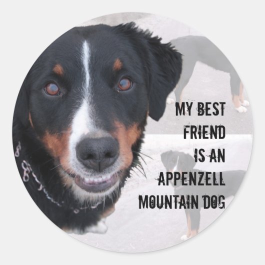 Aufkleber "Appenzeller Sennenhund" Ronde Sticker (Voorkant)
