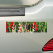 Aufkleber Bumpersticker (Op auto)