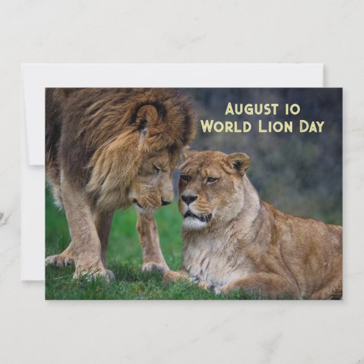 Aug 10, World Lion Day 5 x 7 card Feestdagenkaart (Voorkant)