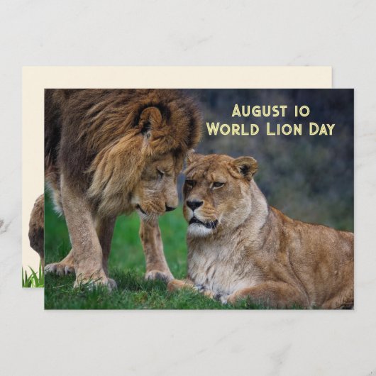 Aug 10, World Lion Day 5 x 7 card Feestdagenkaart (Voorkant / Achterkant)