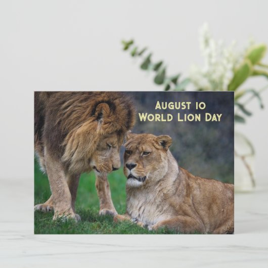 Aug 10, World Lion Day 5 x 7 card Feestdagenkaart (Staand voorkant)