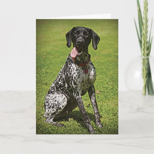 Augie bedankt je kaart (Voorkant)