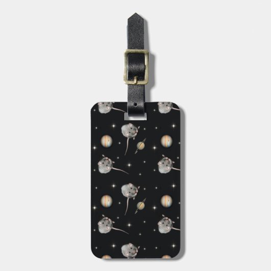 Augie en het Bagagelabel van Planeten (Voorkant verticaal)