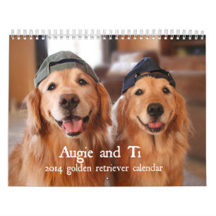 Augie en Ti 2014 Golden Retriever Calendar Kalender