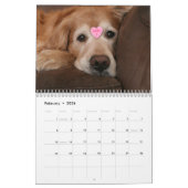 Augie en Ti's Golden Retriever Dog van 2016 Kalender (Feb 2026)