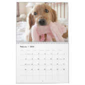 Augie en Ti's Golden Retriever Dog van 2018 Kalender (Feb 2026)