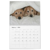 Augie en Ti's Golden Retriever van 2017 Kalender (Feb 2026)
