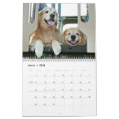 Augie en Ti's Golden Retriever van 2017 Kalender (Mar 2026)