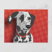 Augie the Dalmatian Briefkaart (Voorkant)