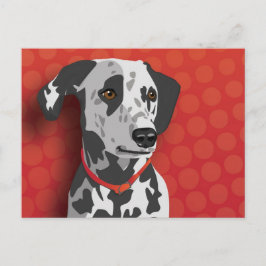 Augie the Dalmatian Briefkaart