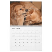 Augie & Ti's Golden Retriever Agenda 2012 Kalender (Mar 2026)