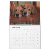 Augie & Ti's Golden Retriever Agenda 2012 Kalender (Jan 2026)