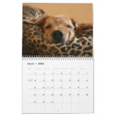 Augie & Ti's Golden Retriever Agenda 2013 Kalender (Mar 2026)