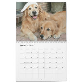 Augie & Ti's Golden Retriever Agenda 2013 Kalender (Feb 2026)