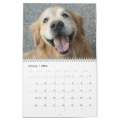 Augie & Ti's Golden Retriever Agenda 2013 Kalender (Jan 2026)