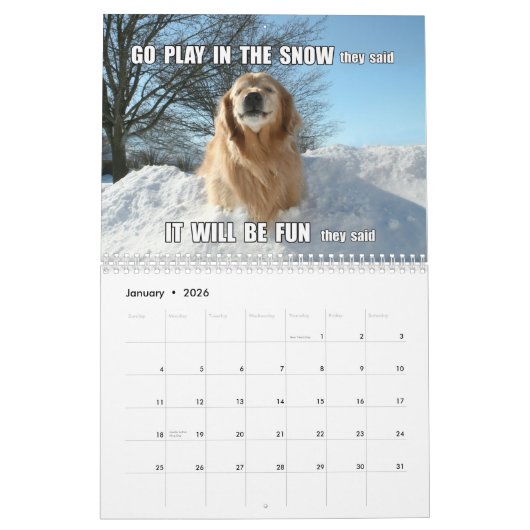 Augie & Ti's Jokes and Memes 2015 Golden Retriever Kalender (Jan 2026)