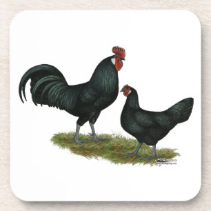 Augsberger Chickens Onderzetter