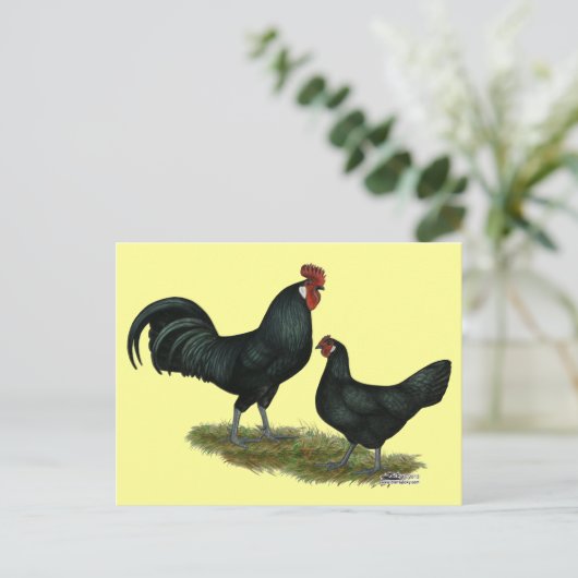 Augsburger Chickens Briefkaart (Staand voorkant)