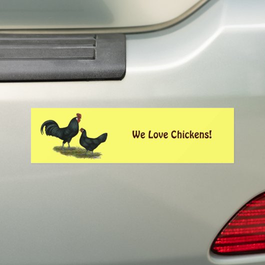Augsburger Chickens Bumpersticker (Op auto)