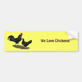 Augsburger Chickens Bumpersticker (Voorkant)