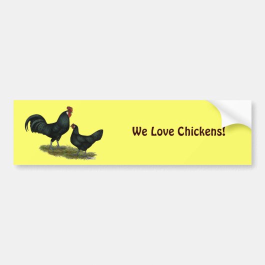 Augsburger Chickens Bumpersticker (Voorkant)