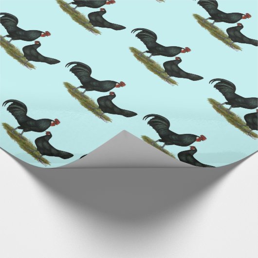 Augsburger Chickens Cadeaupapier (Hoek)